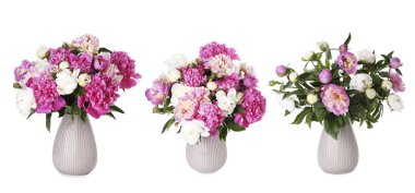 Beyaz vazolardaki şakayık buketleri.