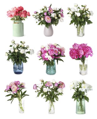 Beyaz vazolardaki şakayık buketleri.