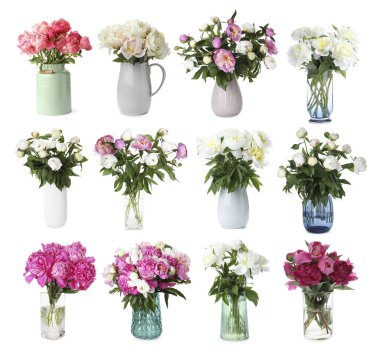 Beyaz vazolardaki şakayık buketleri.