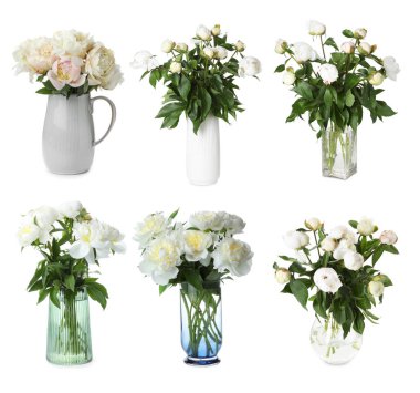 Beyaz vazolardaki şakayık buketleri.