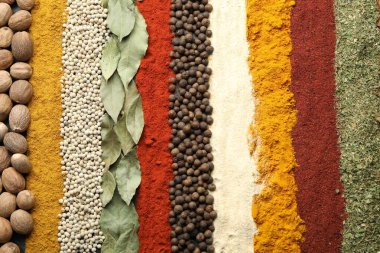 Arka plan olarak birçok farklı baharat, üst görünüm