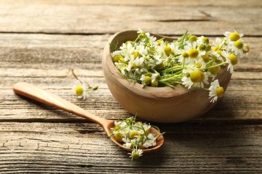 Taze papatya çiçekleri kasede ve kaşık tahta masada, yakın plan.