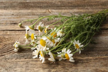 Güzel papatya çiçekleri ahşap masada, yakın plan