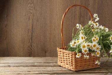 Hasır sepetin içinde güzel papatya çiçekleri ahşap masanın üzerinde, metin için yer var.