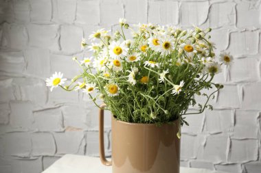 Vazodaki güzel papatya çiçekleri gri duvarın yanındaki masada, yakın plan.