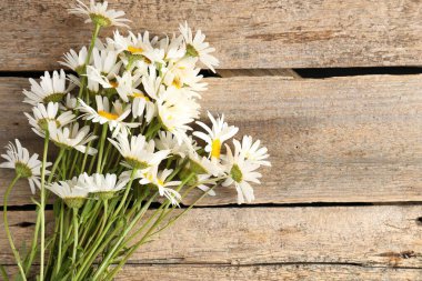 Tahta masanın üzerinde bir sürü güzel papatya çiçeği vardı. Metin için boşluk