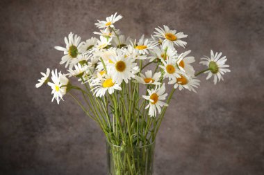 Vazoda bir sürü güzel papatya çiçeği kahverengi desenli arka planda, yakın plan