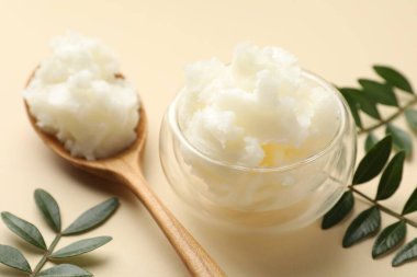 Bej arka planda Shea yağı ve yaprakları, yakın plan