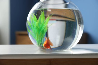 Yuvarlak akvaryumdaki güzel akvaryumdaki balıklar beyaz masada, yakın plan.