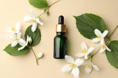 Temel yağ, güzel yasemin çiçekleri ve bej arka planda yeşil yapraklar.