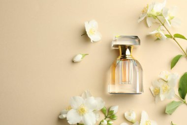 Bir şişe parfüm ve bej arka planda yasemin çiçekleri. Metin için boşluk
