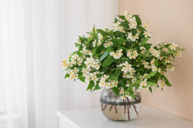 Güzel yasemin çiçekleri vazonun içinde bej duvarın yanındaki beyaz masada, yazı için yer var.