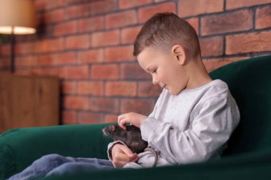 Evdeki kanepede evcil faresi olan küçük bir çocuk. Metin için boşluk