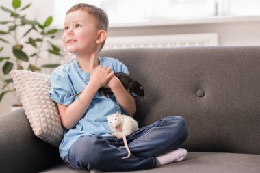 Evdeki kanepesinde fareleri olan küçük bir çocuk. Metin için boşluk