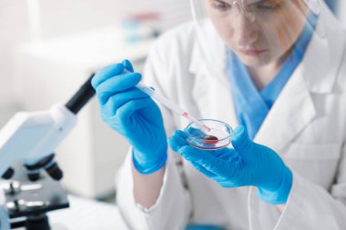 Laboratuvar ve seçici odak noktasında Petri kabında numuneyle çalışan bilim adamı