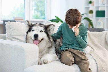 Evdeki kanepede köpeğine alerjisi olan bir çocuk.