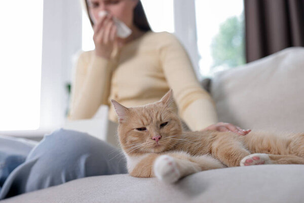 Женщина, страдающая аллергией с кошкой на диване дома, избирательный фокус