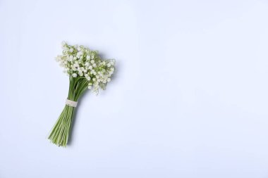 Beyaz arka planda, vadideki güzel zambak çiçekleri, üst manzara. Metin için boşluk