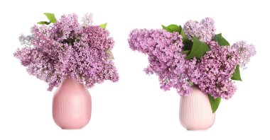 Beyaz arka planda vazolarda leylak buketler, kolaj.