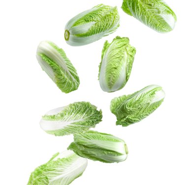 Beyaz arka plana düşen taze Çin lahanaları