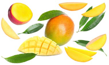 Beyaz arka planda lezzetli mango meyveleri ve yeşil yapraklar, kolaj.
