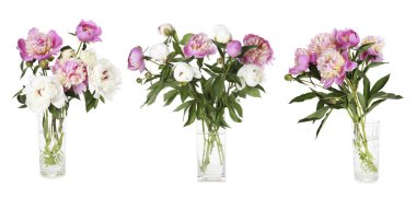 Beyaz vazolardaki şakayık buketleri.