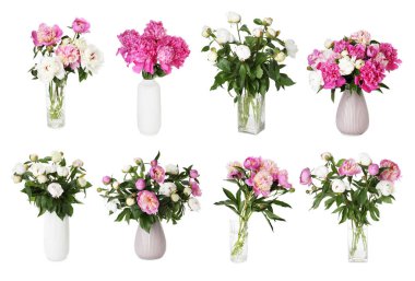 Beyaz vazolardaki şakayık buketleri.