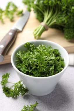Işık masasında taze kesilmiş maydanoz, yakın plan.