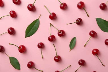 Pembe arka planda taze kirazlar, düz uzanmış.
