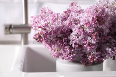 Mutfak lavabosunda güzel leylak çiçekleri, yakın çekim.