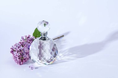 Parfüm şişesi ve açık gri arka planda leylak çiçekli dal, yakın plan. Metin için boşluk