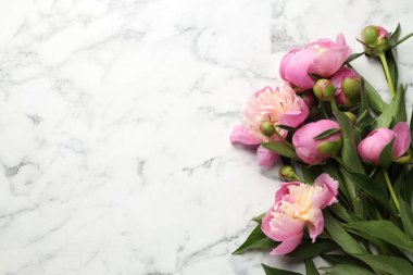 Beyaz mermer masanın üzerinde güzel şakayık çiçekleri olan tebrik kartı, düz yatıyordu. Metin için boşluk