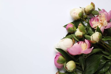 Beyaz arka planda güzel şakayık çiçekleri olan tebrik kartı, düz yatıyordu. Metin için boşluk