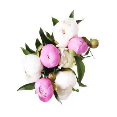 Güzel şakayık çiçeklerinden bir buket, beyaz, üst manzara