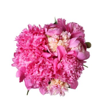 Beyaz bir buket güzel şakayık.