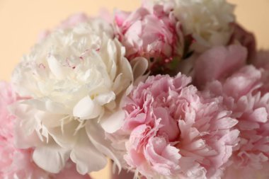 Bej arka planda bir buket güzel şakayık, yakın plan