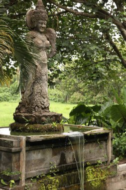 Bali, Endonezya - 2 Haziran 2025: Ubud Maymun Ormanı 'nda güzel antik tanrıça heykeli ve tropikal ağaçlar