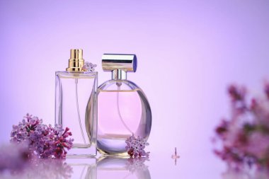 Ayna yüzeyinde mor arkaplana karşı parfüm şişeleri ve leylak çiçekleri, seçici bir odak. Metin için boşluk
