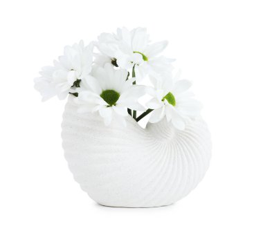 Beyaz vazoda izole edilmiş seramik vazodaki güzel kasımpatılar.