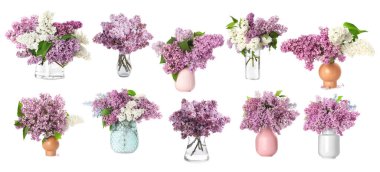 Beyaz arka planda vazolarda leylak buketler, kolaj.