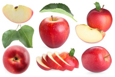 Taze kırmızı elma meyveleri ve yeşil yapraklar beyaz üzerine izole edilmiş, kolaj