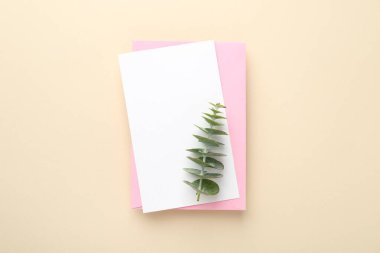 Bej arka planda boş davet kartı, zarf ve okaliptüs dalı, üst görünüm