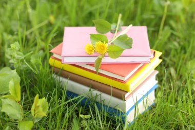 Yeşil çimlerin üzerinde karahindiba çiçekleri olan kitaplar, yakın plan.