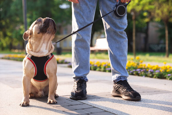 Man with his cute French bulldog in park, closeup