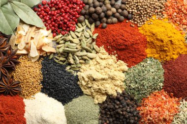 Arka plan olarak birçok farklı baharat, üst görünüm