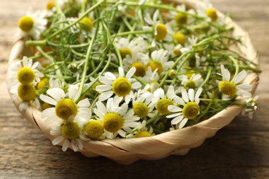 Taze papatya çiçekleri hasır sepetin içinde ahşap masanın üzerinde, yakın plan.