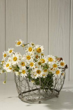 Güzel papatya çiçekleri metal sepetin içinde beyaz masada, yakın plan