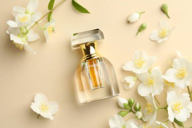 Bir şişe parfüm ve güzel yasemin çiçekleri bej arka planda, düz yerde