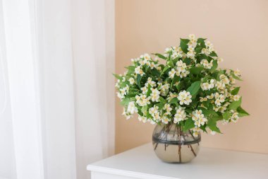 Güzel yasemin çiçekleri vazonun içinde bej duvarın yanındaki beyaz masada, yazı için yer var.
