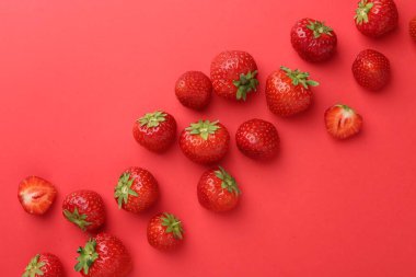 Kırmızı arka planda taze olgun çilekler, düz uzanmış. Metin için boşluk